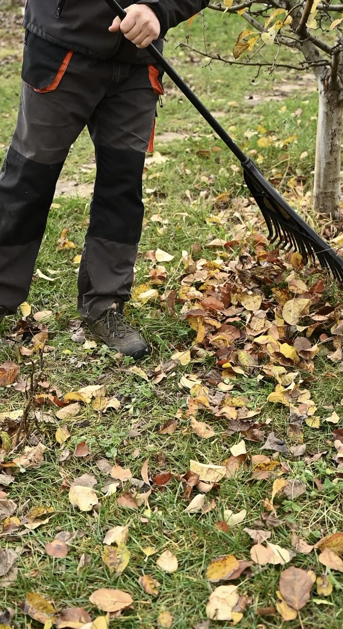 Чистый и безопасный двор!